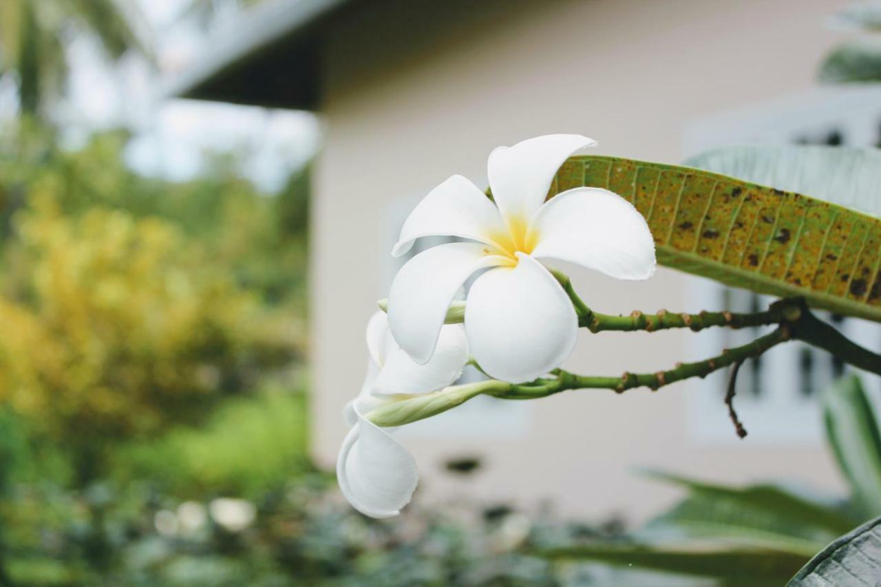 The Trang Villas Нячанг Екстер'єр фото